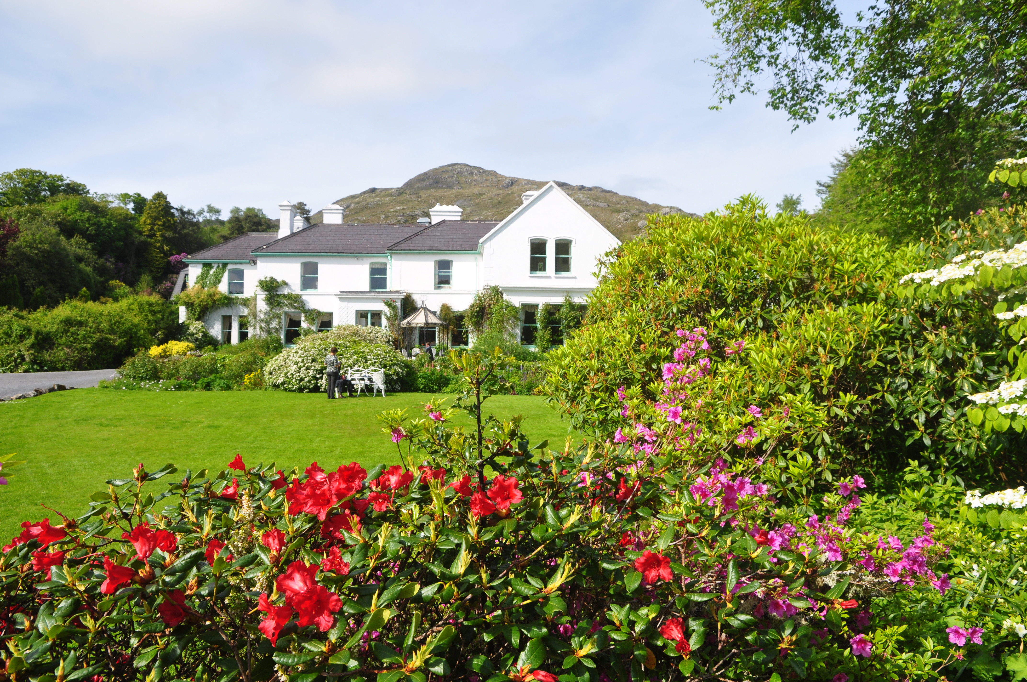 Cashel House
